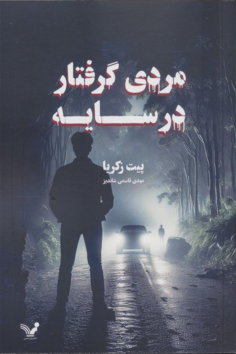 مردی گرفتار در سایه