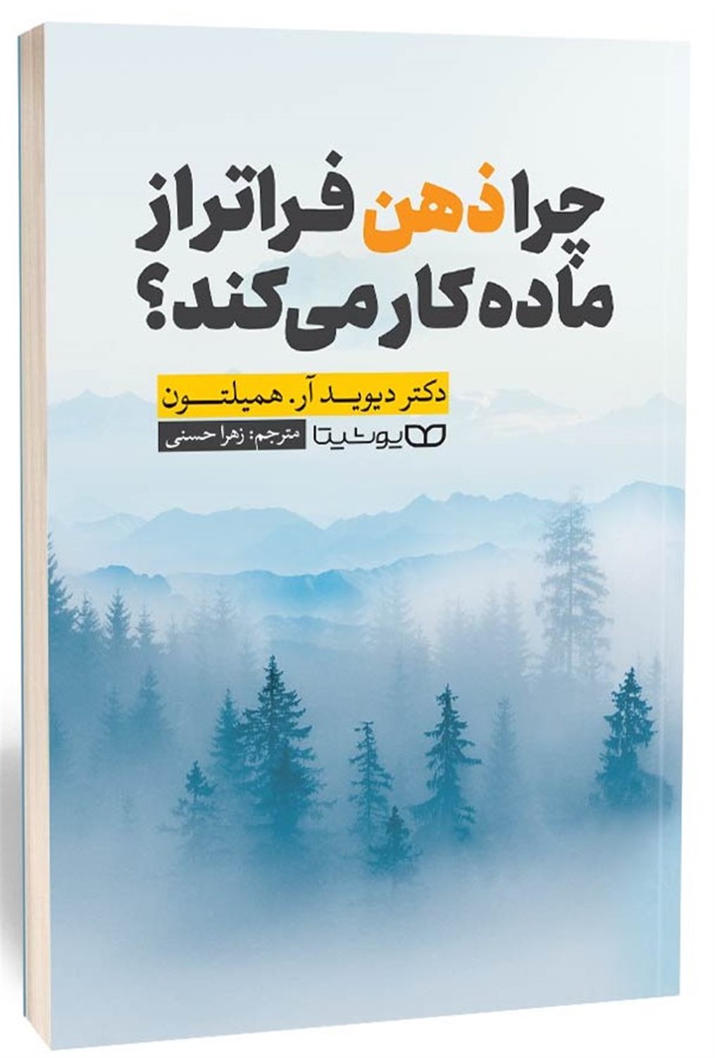 چرا ذهن فراتر از ماده کار می کند 