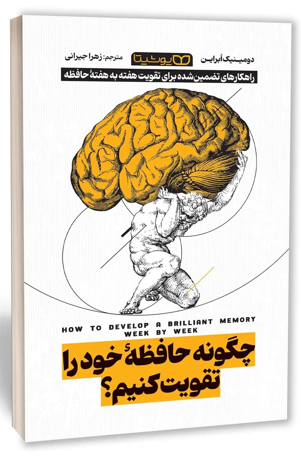 چگونه حافظه خود را تقویت کنیم 