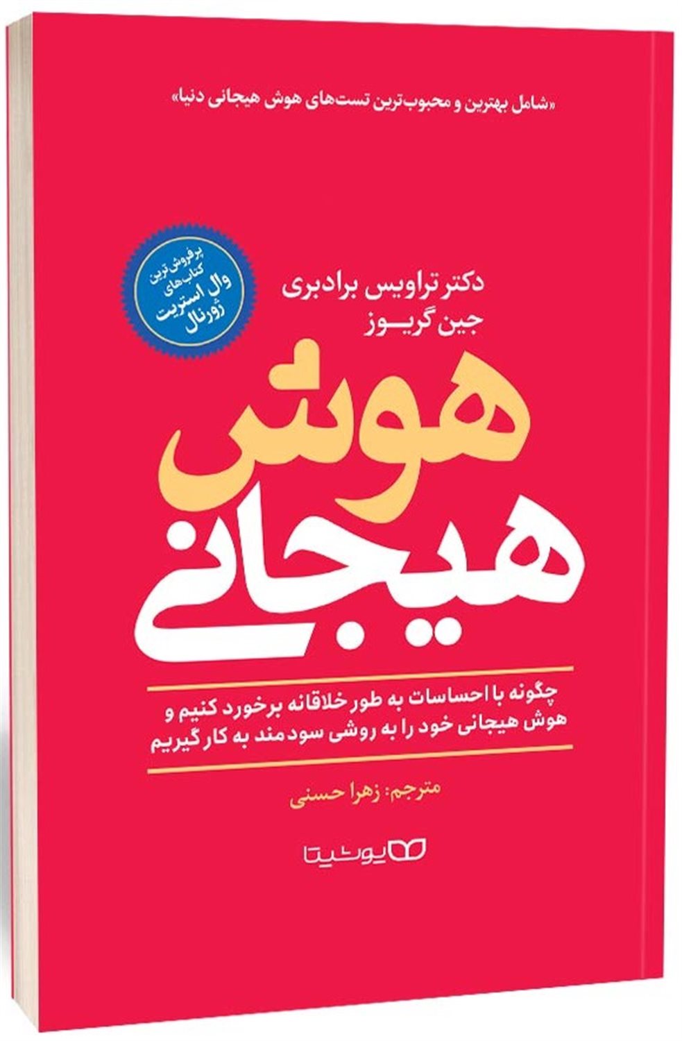 هوش هیجانی 