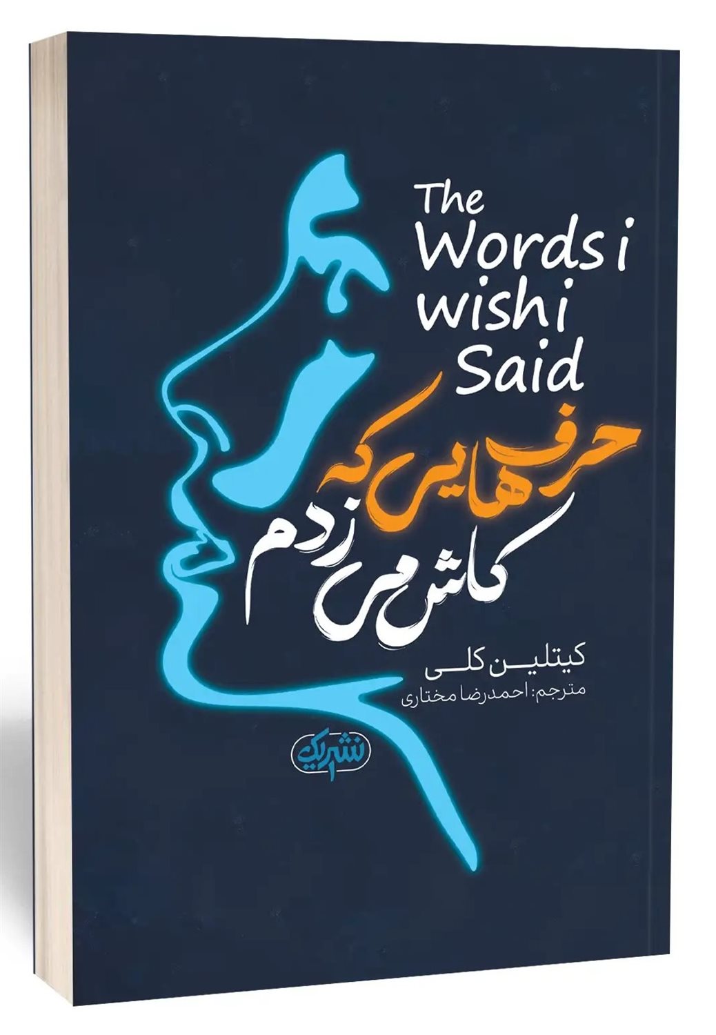 حرف هایی که کاش می زدم 