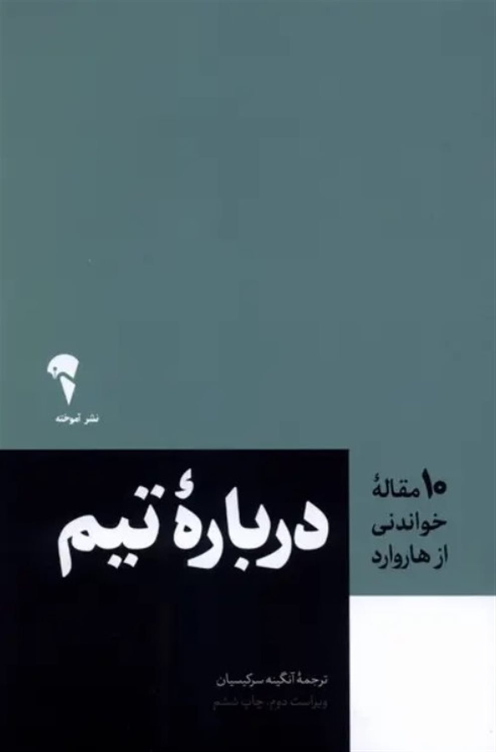 درباره تیم