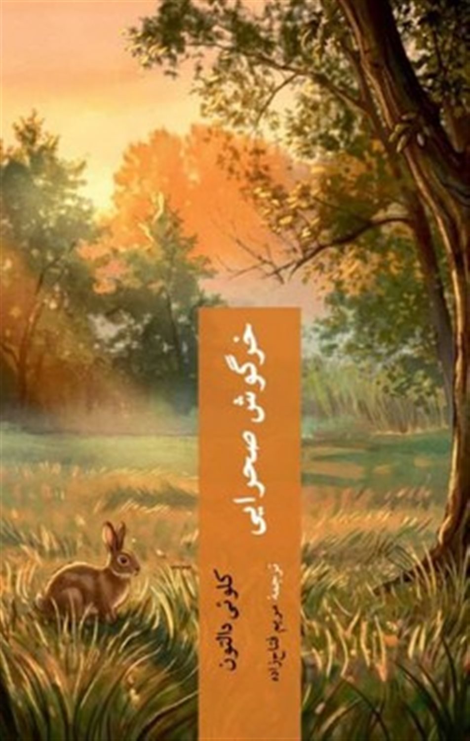 خرگوش صحرایی 