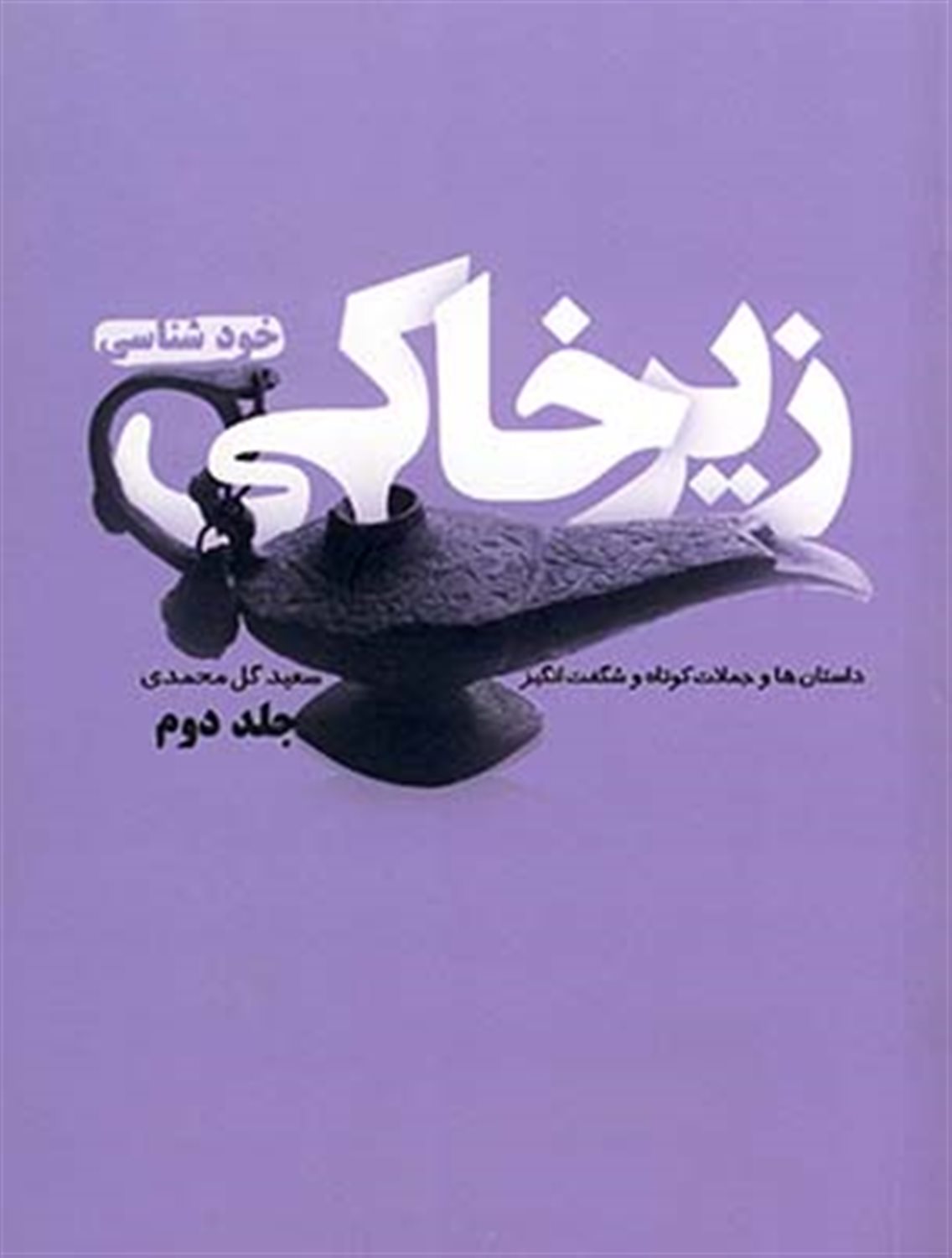زیر خاکی 2