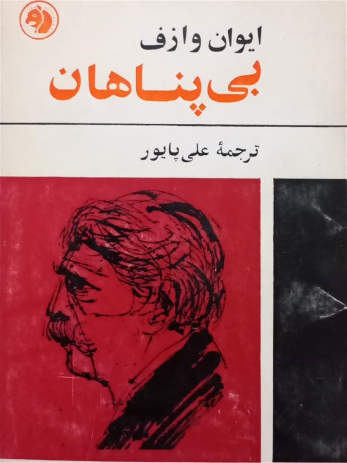 بی پناهان