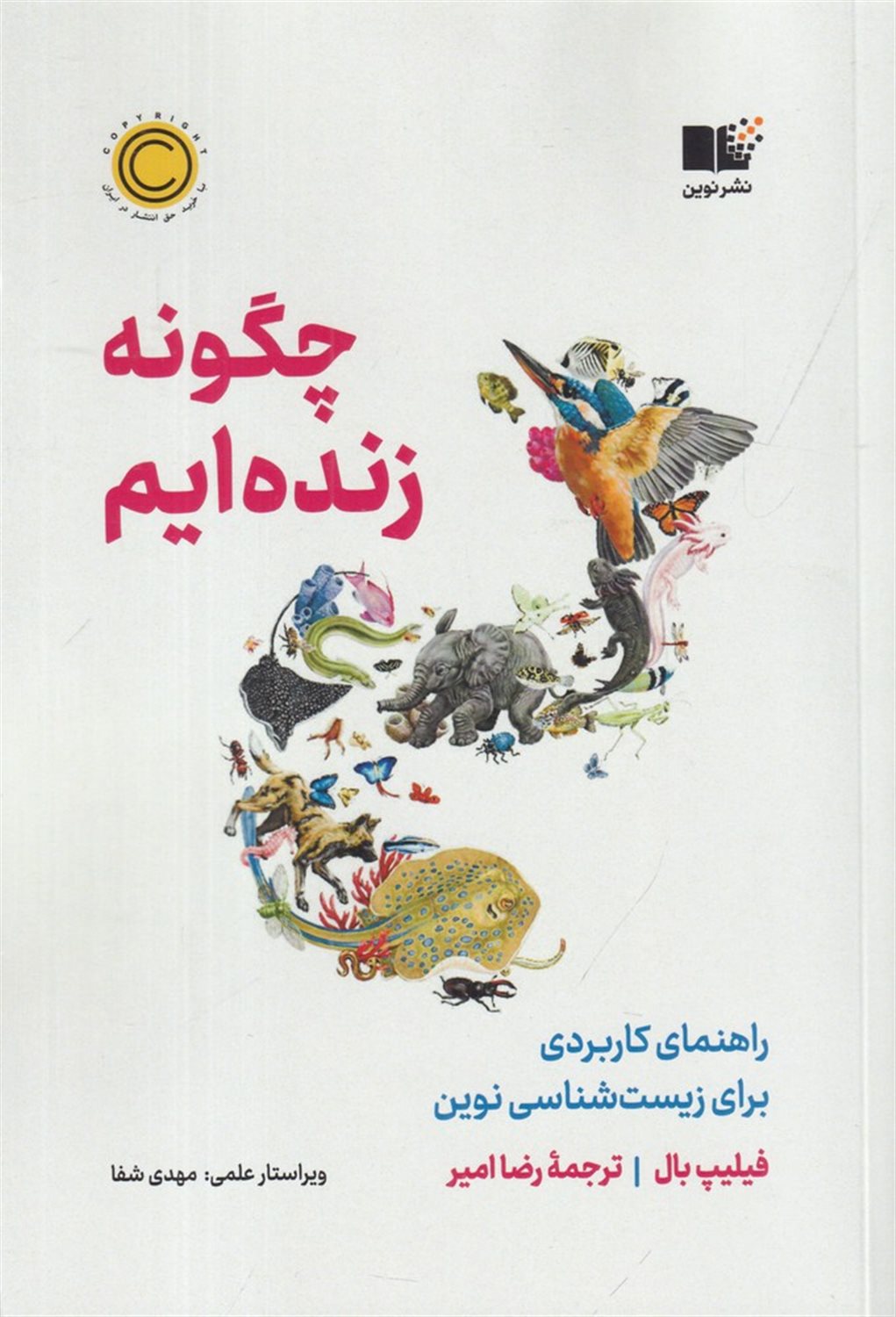 چگونه زنده ایم