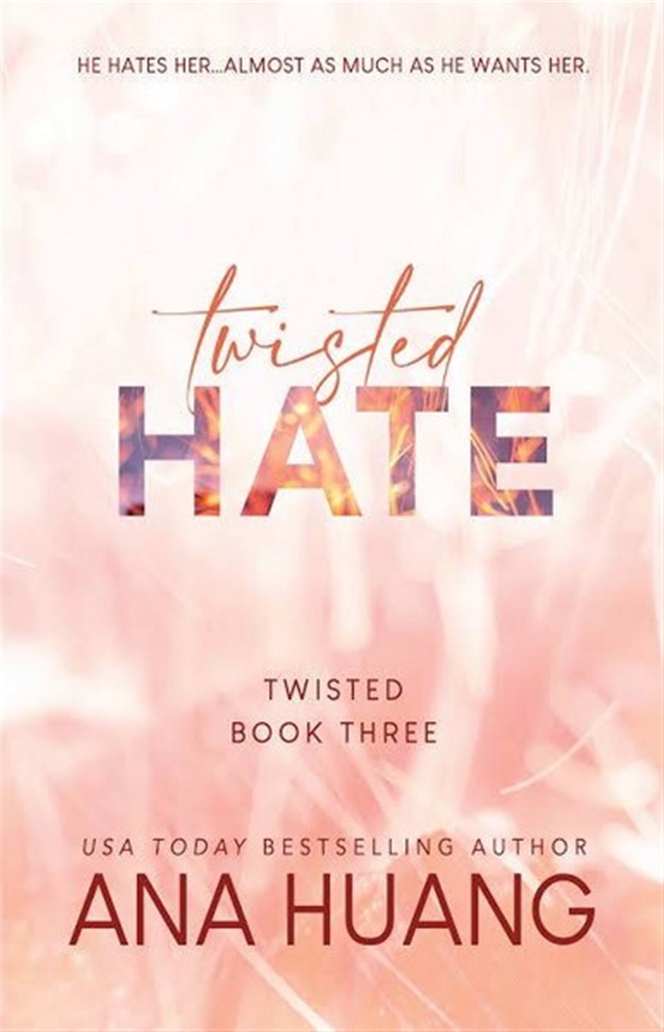 Twisted Hate