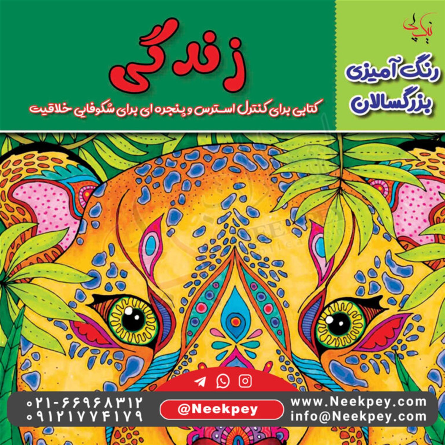 رنگ آمیزی بزرگسالان (زندگی)