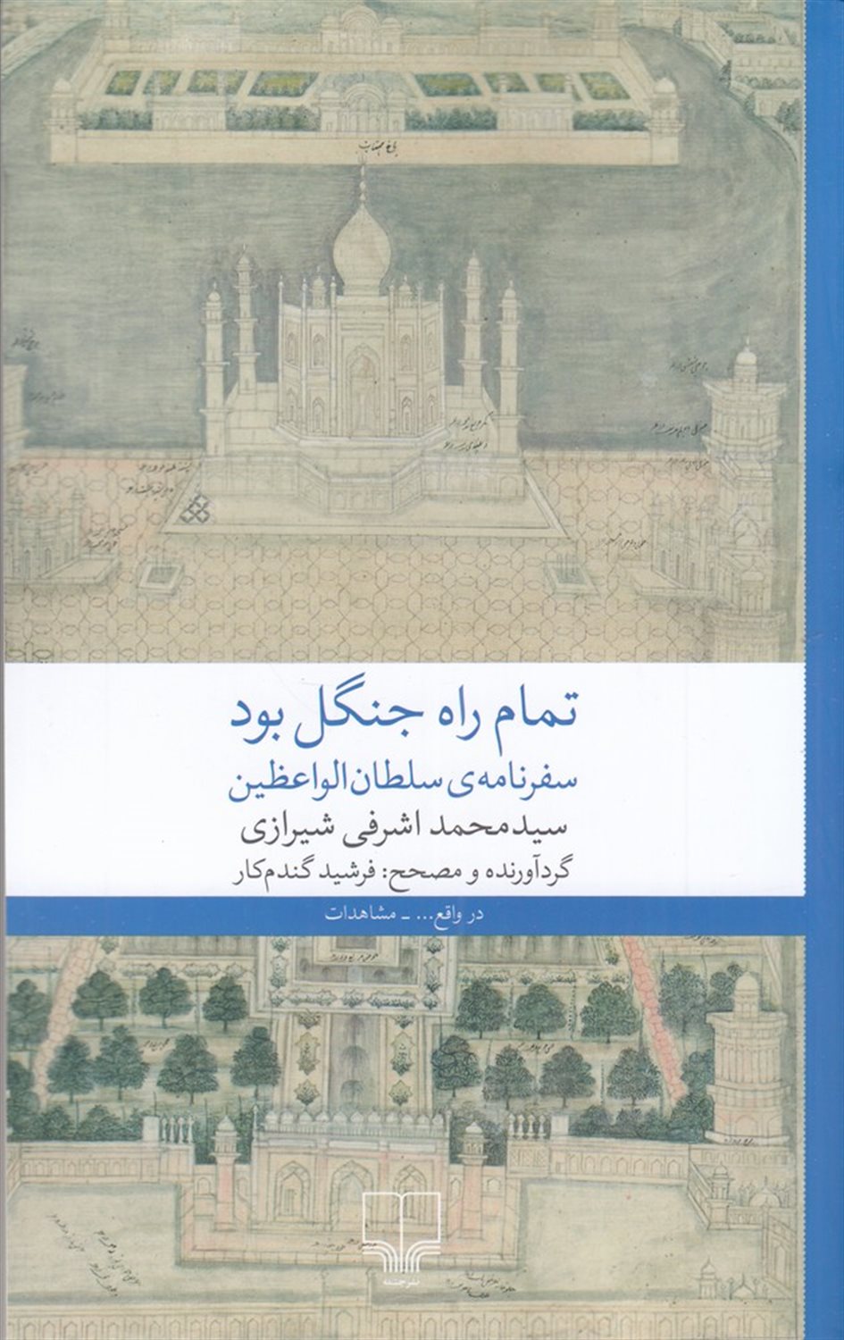 تمام راه جنگل بود