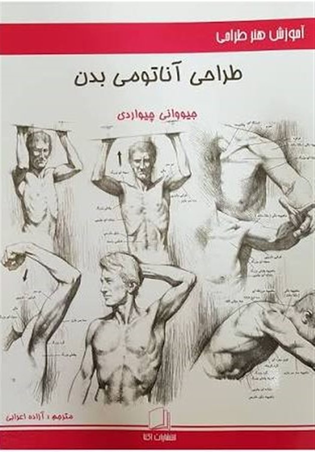 طراحی آناتومی بدن