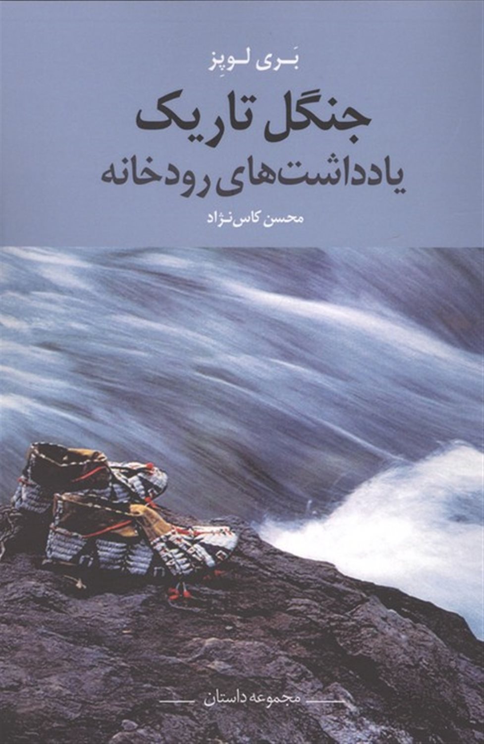 جنگل تاریک