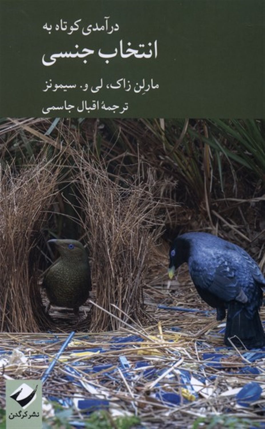 درآمدی کوتاه به انتخاب جنسی
