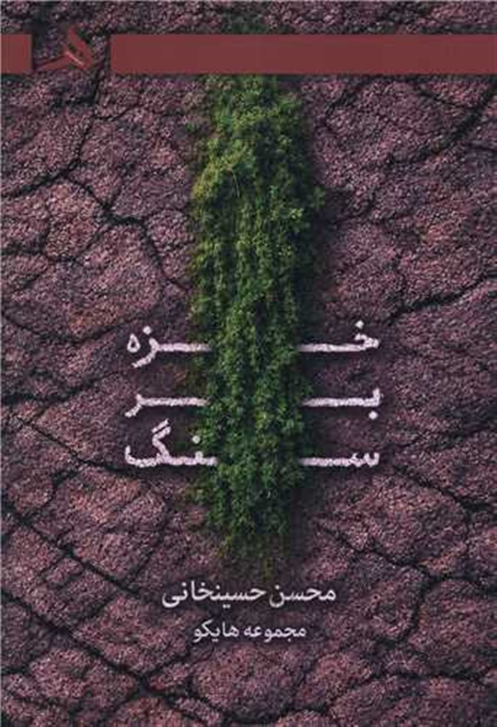 خزه بر سنگ