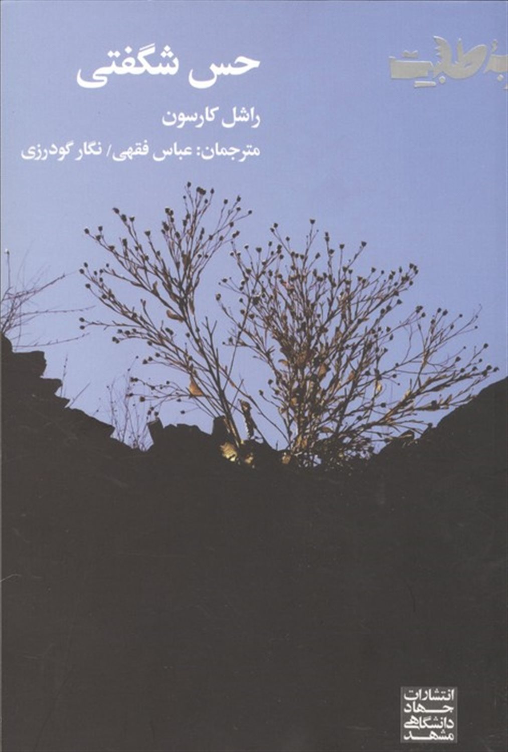 حس شگفتی