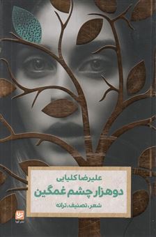 کتاب-دو-هزار-چشم-غمگین-اثر-علی-رضا-کلیایی