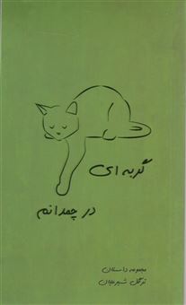 کتاب-گربه-ای-در-چمدانم-اثر-ترگل-شیرعلیان