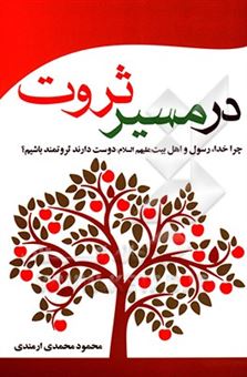 کتاب-در-مسیر-ثروت-اثر-محمود-محمدی-ارمندی