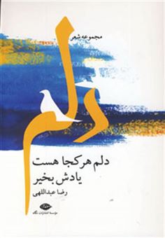 کتاب-دلم-هر-کجا-هست-یادش-بخیر-اثر-رضا-عبداللهی