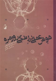 کتاب-هوش-عملی-در-زندگی-روزمره-اثر-رابرت-استرنبگ-و-دیگران