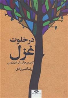 کتاب-در-خلوت-غزل-گزیده-ی-هزار-سال-غزل-پارسی-اثر-رضا-شیرزادی