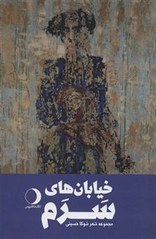 کتاب-خیابان-های-سرم-اثر-شوکا-حسینی