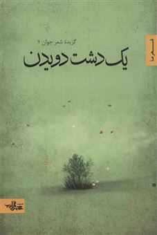 کتاب-یک-دشت-دویدن-شعر-ما-گزیده-شعر-7