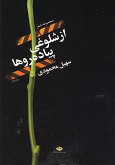 کتاب-از-شلوغی-پیاده-روها-اثر-سهیل-محمودی
