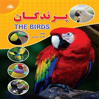 کتاب-پرندگان-اثر-محمد-دوستی