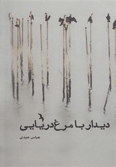 کتاب-دیدار-با-مرغ-دریایی-اثر-عباس-عبدی