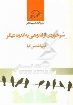 کتاب-و-سرخوردن-از-اندوهی-به-اندوه-دیگر-مجموعه-شعر