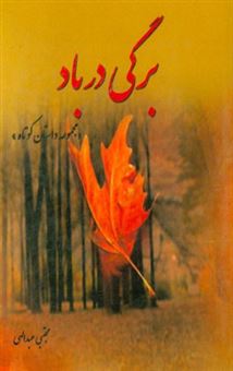 کتاب-برگی-در-باد-مجموعه-داستان-اثر-مجتبی-عبدالهی
