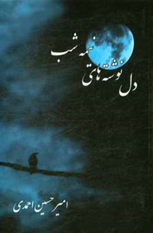 کتاب-دل-نوشته-های-نیمه-شب-اثر-امیرحسین-احمدی