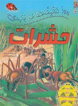 کتاب-100-حقیقت-درباره-ی-حشرات-اثر-استیو-پارکر