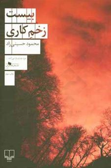 کتاب-بیست-زخم-کاری-اثر-محمود-حسینی-راد