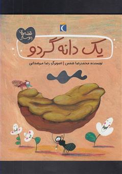 کتاب-یک-دانه-گردو-اثر-محمدرضا-شمس