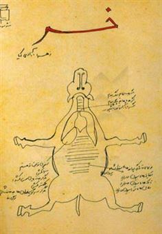 کتاب-خر