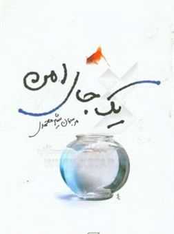 کتاب-یک-جای-امن-اثر-مرجان-شیرمحمدی