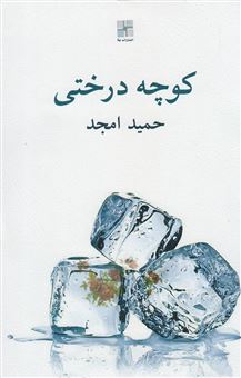 کتاب-کوچه-درختی-اثر-حمید-سعیدی-امجد