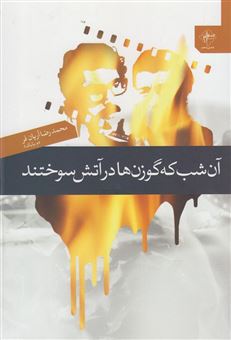 کتاب-آن-شب-که-گوزن-ها-در-آتش-سوختند-اثر-محمدرضا-آریان-فر