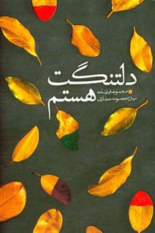 کتاب-دلتنگت-هستم-مجموعه-فیلم-نامه-اثر-سیده-معصومه-حجازی