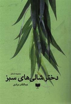 کتاب-دختر-شالی-های-سبز-اثر-عبدالقادر-مرادی
