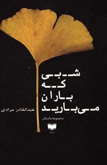 کتاب-شبی-که-باران-می-بارید-مجموعه-داستان-اثر-عبدالقادر-مرادی