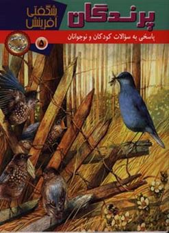 کتاب-پرندگان-اثر-مبینا-احمدی