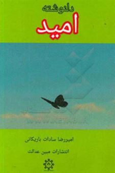 کتاب-دلنوشته-امید-اثر-امیررضا-سادات-باریکانی