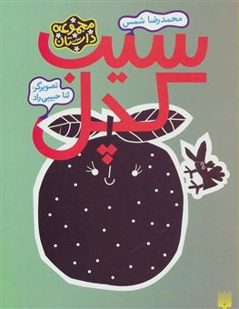 کتاب-سیب-کچل-اثر-محمدرضا-شمس