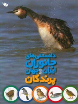 کتاب-پرندگان-اثر-محمد-کرام-الدینی