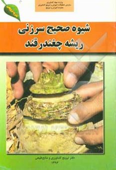 کتاب-شیوه-صحیح-سرزنی-ریشه-چغندرقند-اثر-بابک-بابایی