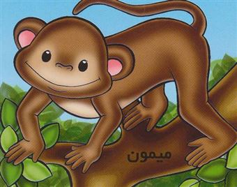کتاب-میمون-اثر-شهره-یوسفی