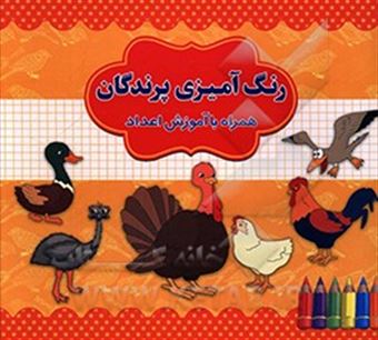 کتاب-رنگ-آمیزی-پرندگان-همراه-با-آموزش-اعداد