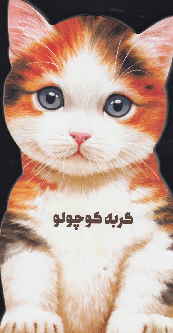 گربه کوچولو